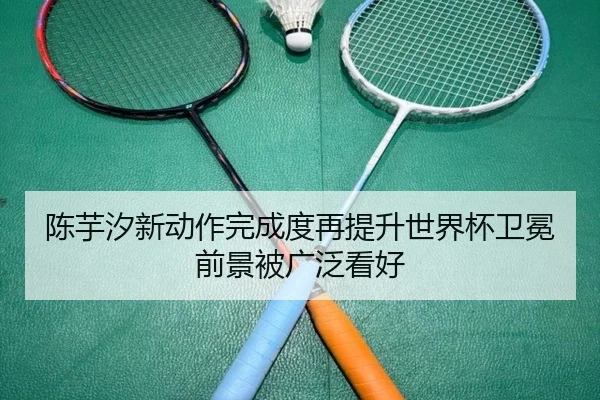 陈芋汐新动作完成度再提升世界杯卫冕前景被广泛看好 | xingkong.com